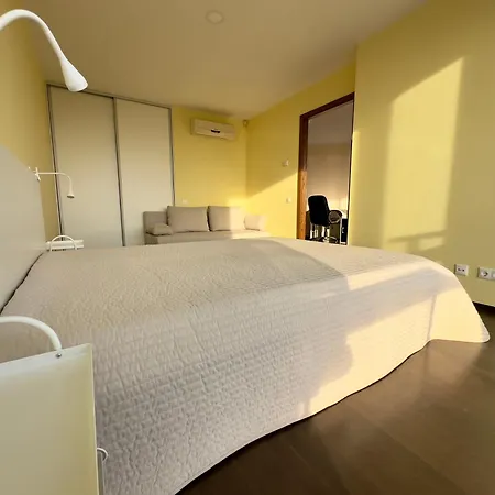 Isskirtiniai Apartamentai Su Vaizdu I Jura Palanga