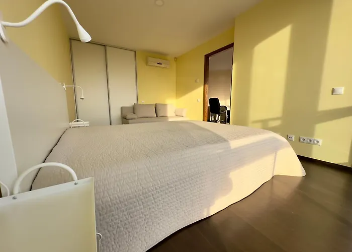 Isskirtiniai Apartamentai Su Vaizdu I Jura Palanga